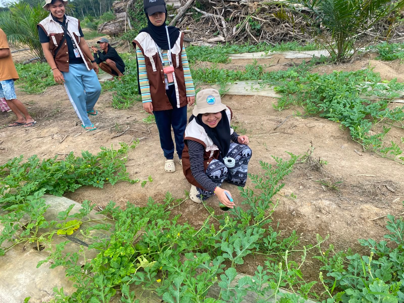 coba lagi